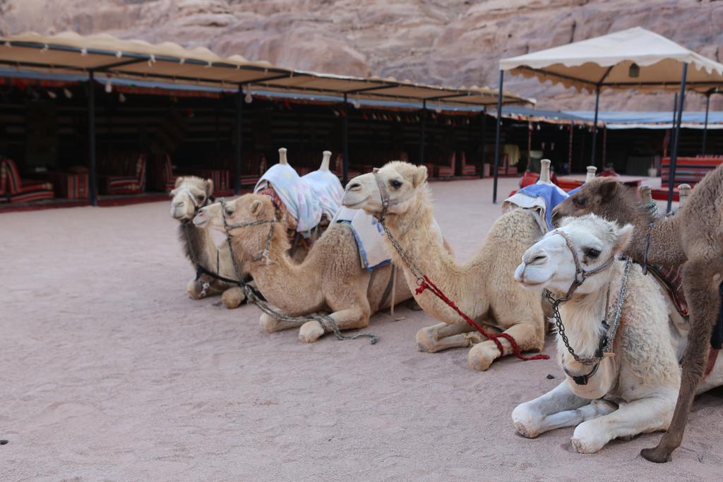 Hotel Sun City Camp Wadi Rum Exterior foto